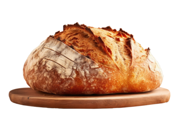 an artisan loaf of traditional homemade sourdough Boule bread isolated on a white or transparent background	
