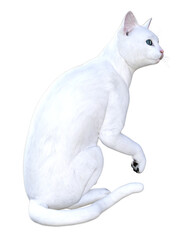 A series of various 3D cat illustrations, in different poses and fur shades. Image 5 of series