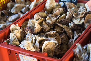 Oysters for sale on market stall, in a red box. This seafood is a famous local product in Brittany, France.