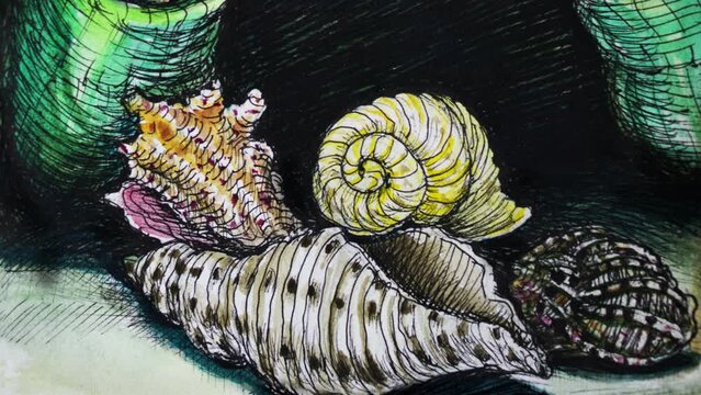 child plays with sea shells, hand drawn animation
