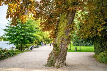 Hamburg, Germany. Trees in the Alster Park in the city center.