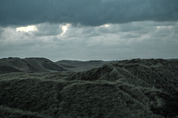 Danish Dune Landscape