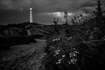 Leuchtturm in Hvide Sande