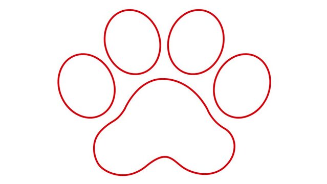 Animated linear cat red footprint. A cat's paw print appears. Looped video. Vector illustration isolated on white background
