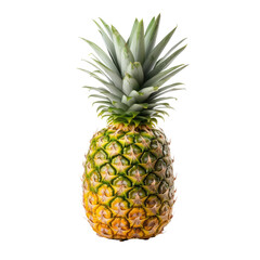 a whole pineapple on a white or transparent background. PNG. The pineapple is yellow and spiky, and the leaves are green and spiky.	

