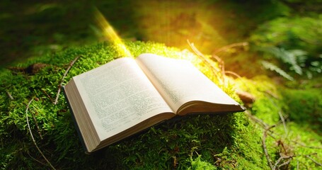 Open book with light flare. Mysterious magical story. Learning is light and ignorance is darkness....