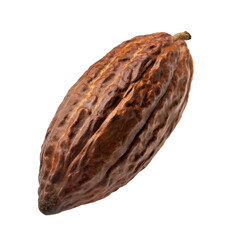 Fresh Dark red (Trinitario) cocoa fruit isolated on white background. Clipping path