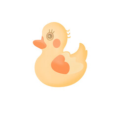 duck isolated on white