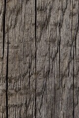 A captivating image of weathered pine planks neatly aligned in rows, displaying various wood tones shaped by the elements - rain, sun, and wind. 