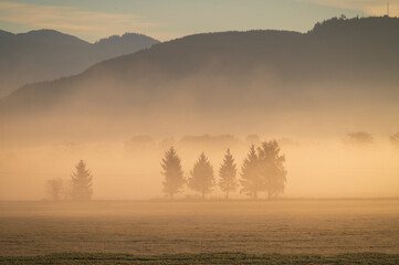 Fototapeta na wymiar Dramatic sunrise over rural farmland with ground fog adding atmosphere. Morning in the Skagit Valley is an almost magical event as the color and texture make for a beautiful landscape. Washington, US