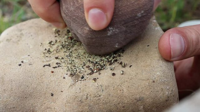 A man crushes and grinds black pepper on a large stone with another stone in an ancient way