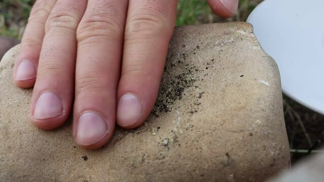 A man crushes and grinds black pepper on a large stone with another stone in an ancient way