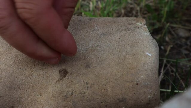 A man crushes and grinds black pepper on a large stone with another stone in an ancient way