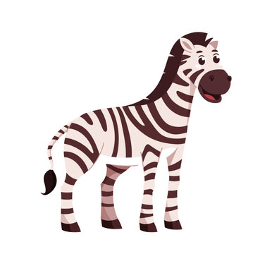 Zebra character vector concept