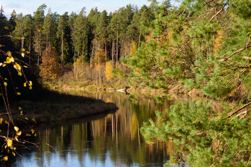 .river bend in autumn on a sunny day with trees in the distance