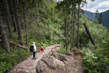 Obraz premium Mom and daughter go hiking in the Polish Tatras along a hiking trail through the forest.