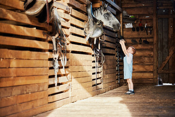 Cute kid with a horse in the stable. The little boy is delighted with the horses in the stable....