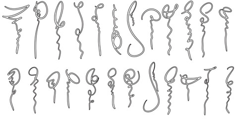 illustration of a swirl decoration