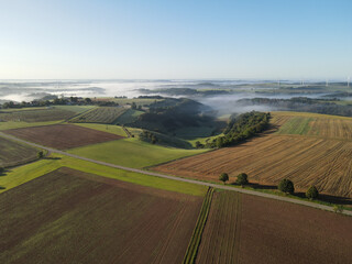 Aerial view of a landscape with fields and trees on a sunny and foggy morning