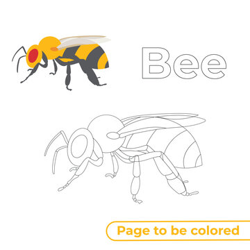 Bee Coloring Page For Kids. Handwriting Practice Sheet. Educational Children's Game, Printable Worksheet For Kids With Bee