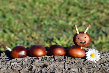 Cute caterpillar made of chestnuts. Creative fun in autumn time