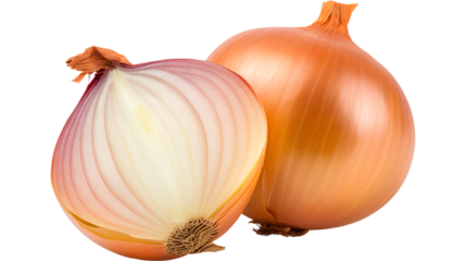 onion on white background