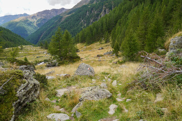 Beautiful panorama and nature of the Italian Dolomites