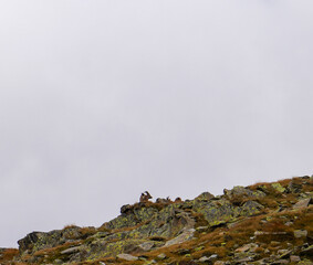 beautiful Italian Dolomites Panorama