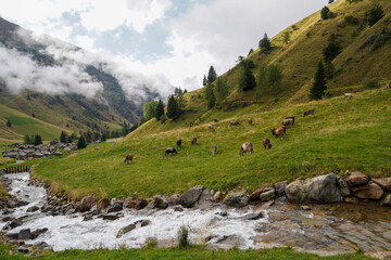 Fototapeta na wymiar beautiful Italian Dolomites Panorama