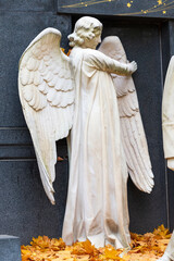 Historic Statue on the autumn mystery old Prague Cemetery, Czech Republic