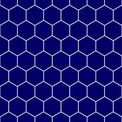 Seamless pattern with tradicional hexagonal tiles style in 2 colors. Vector illustration.
