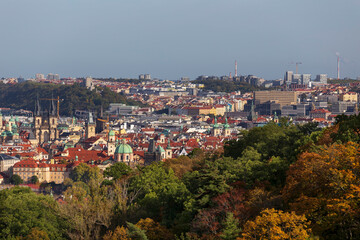 Fototapeta premium Autumn Prague City with colorful Trees from the Hill Petrin, Czech Republic