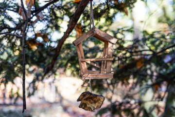 A bird feeder in the park