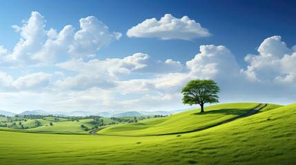 Fototapeta na wymiar Peaceful green summer landscape with blus cloudy sky