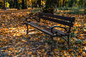 A bench in the park during autumn