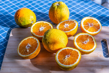 Large greek oranges, halved and ready to be squeezed for some golden, delicious juice.
