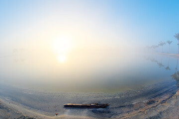 Whispers of Dawn: A Misty Lake Ballet Illuminated by Sun's Golden Embrace