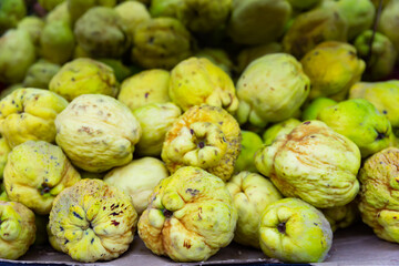 Harvested quince fruits lay in bitter heap, offering taste of nature's complexity.