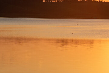 Golden Mirage: Sunset's Reflection on Tranquil Waters