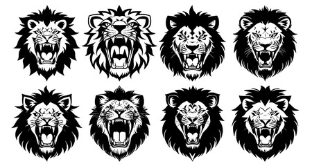 Set of lion heads with open mouth and bared fangs, with different angry expressions of the muzzle. Symbols for tattoo, emblem or logo, isolated on a white background.