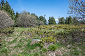Spring view of Konyarnika area at Vitosha Mountain, Bulgaria