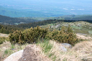 Spring view of Konyarnika area at Vitosha Mountain, Bulgaria