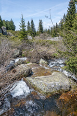 Spring view of Konyarnika area at Vitosha Mountain, Bulgaria