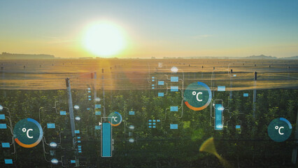 Apple Farm With Smart Agricultural System Showing Temperature Graphics On A Sunny Day