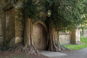 Wooden doorway to middle earth
