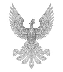 Phoenix bird, vintage engraving drawing stye illustration