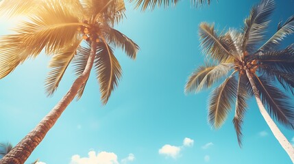 Blue sky and palm trees view from below, vintage style, tropical beach and summer background, travel concept