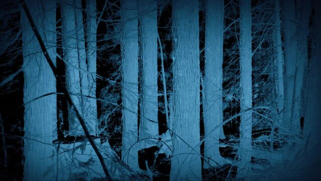 Anonymous Man Walks Through Forest - Police Forensics Concept