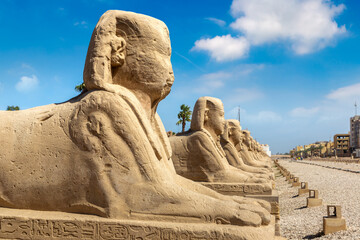 Sphinx Allee in Luxor, Egypt - obrazy, fototapety, plakaty