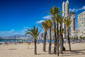 Widok na palmy, plażę, hotele i morze śródziemne na brzegu Hiszpańskiego miasta Benidorm na Costa Blanca